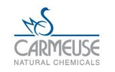 CARMEUSE S.A.